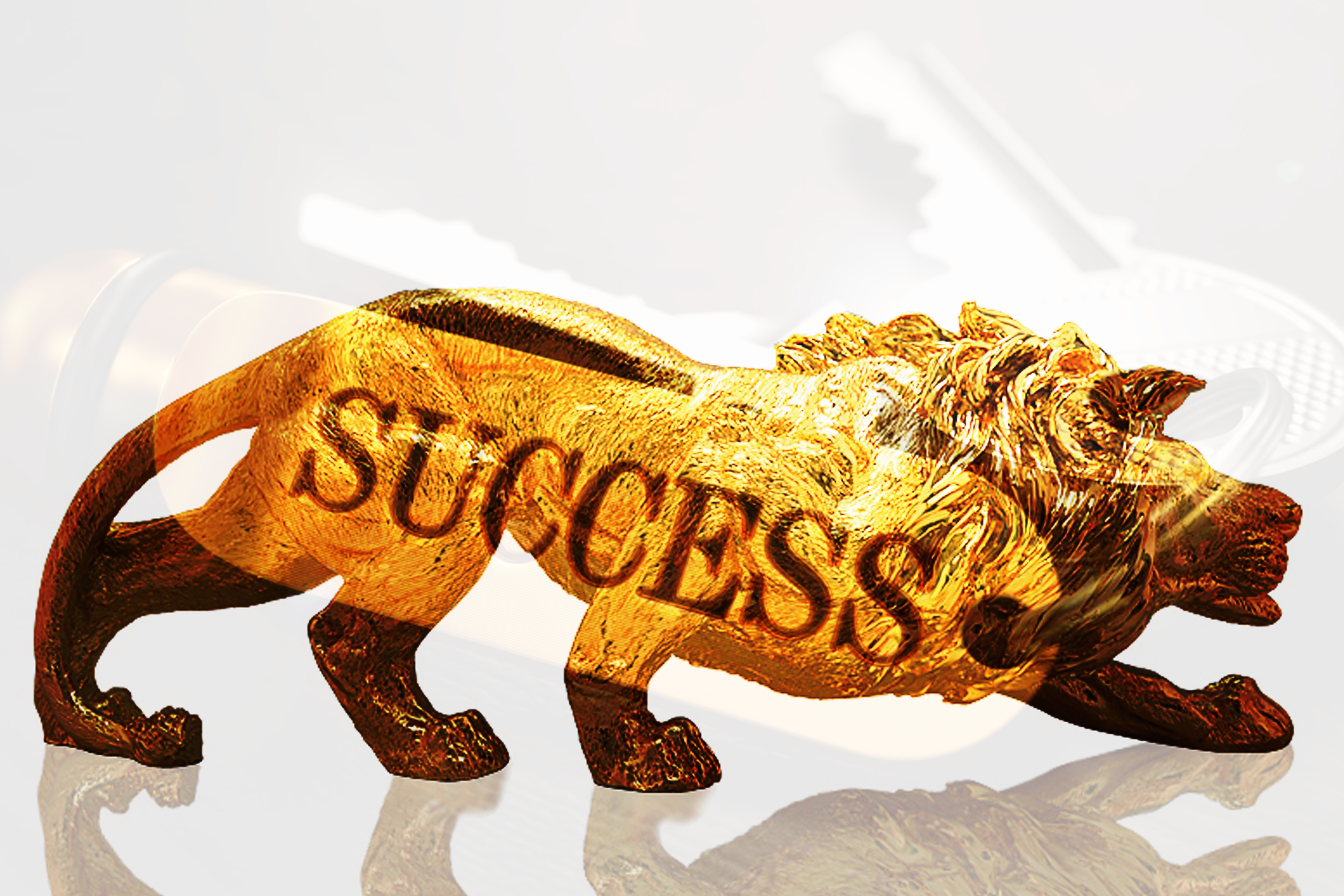 success.png