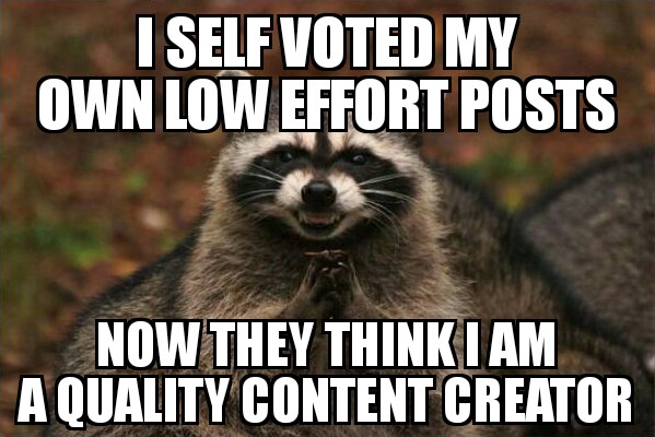 Evil self voting Raccoon.jpg