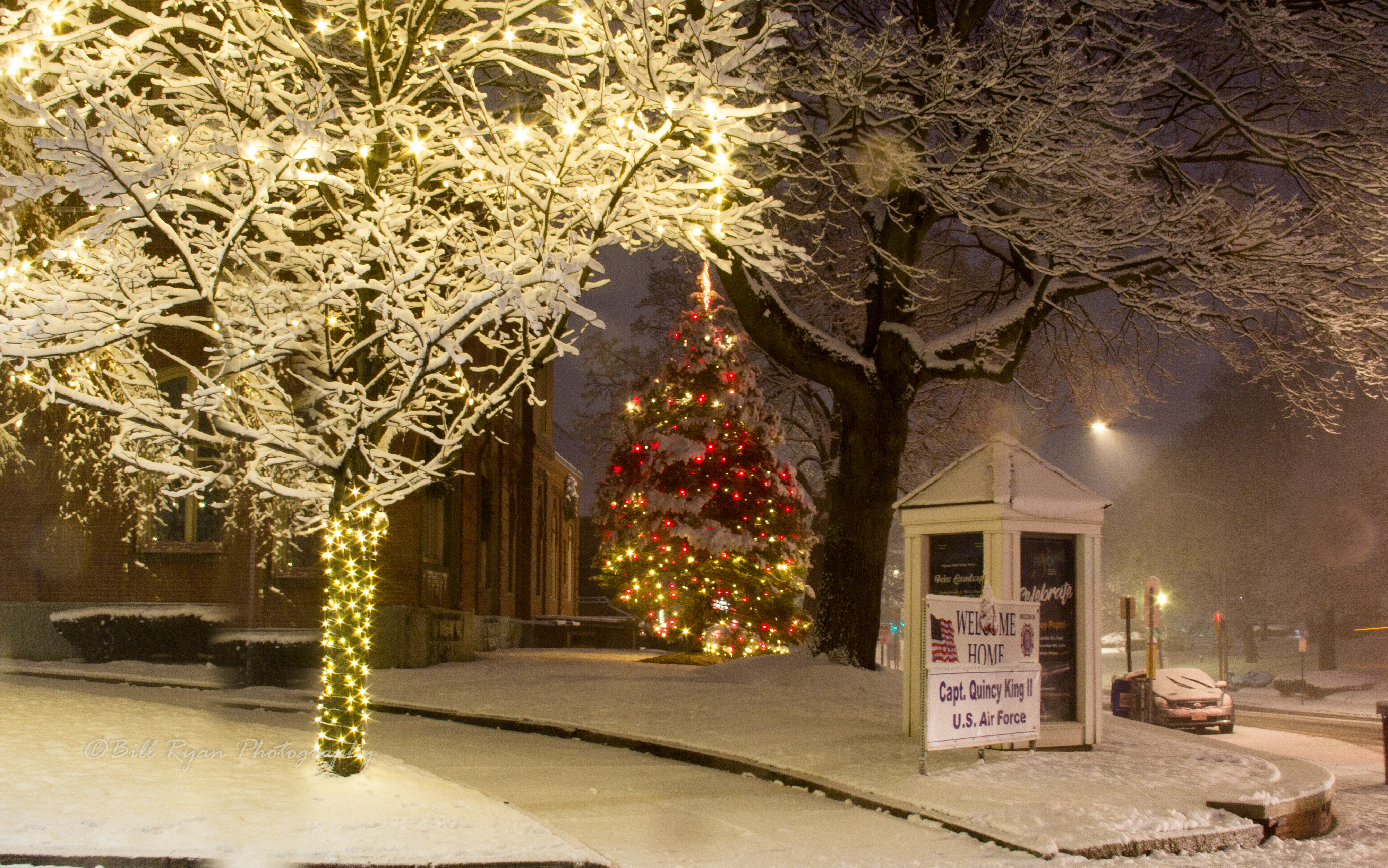 Melrose Christmas tree and decorations (1 of 1).JPG