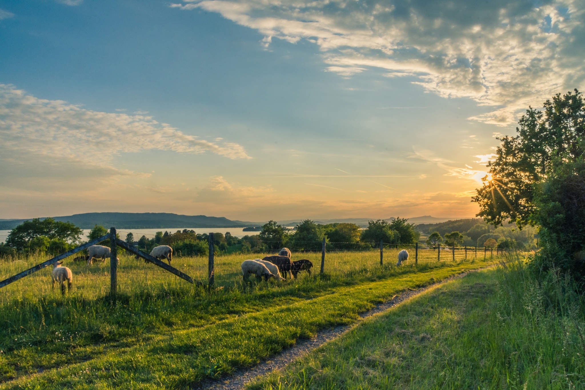 countryside-cropland-dawn-158179.jpg