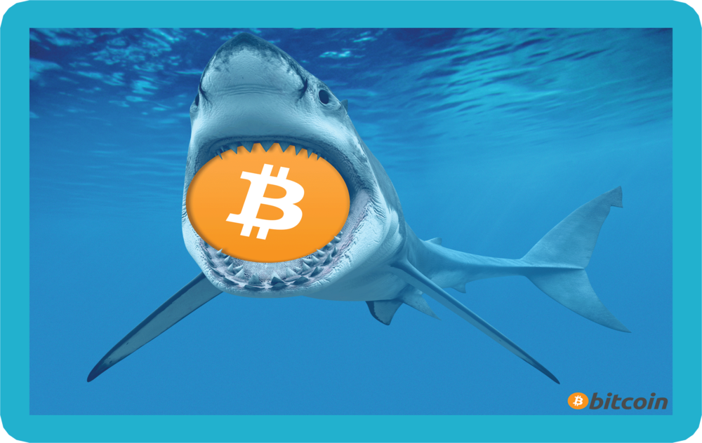 bitcoin code shark tank