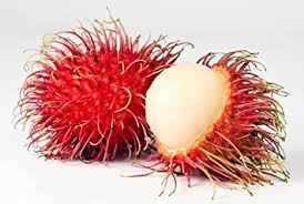 rambutan.jfif