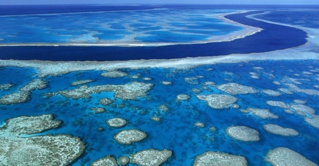 el-arrecife-de-coral-mas-grande-del-mundo1.jpg