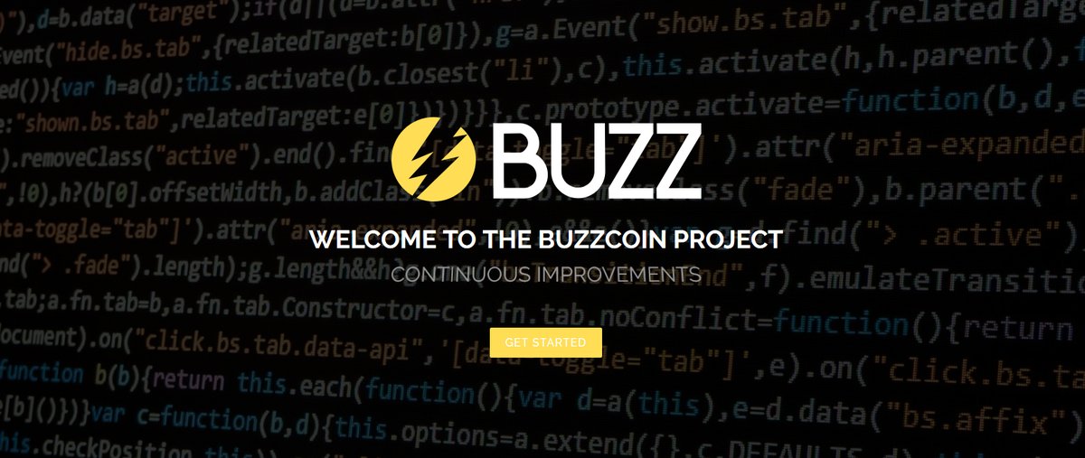 buzzproject.jpg