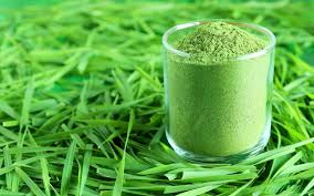 Wheatgrass Products.jpg