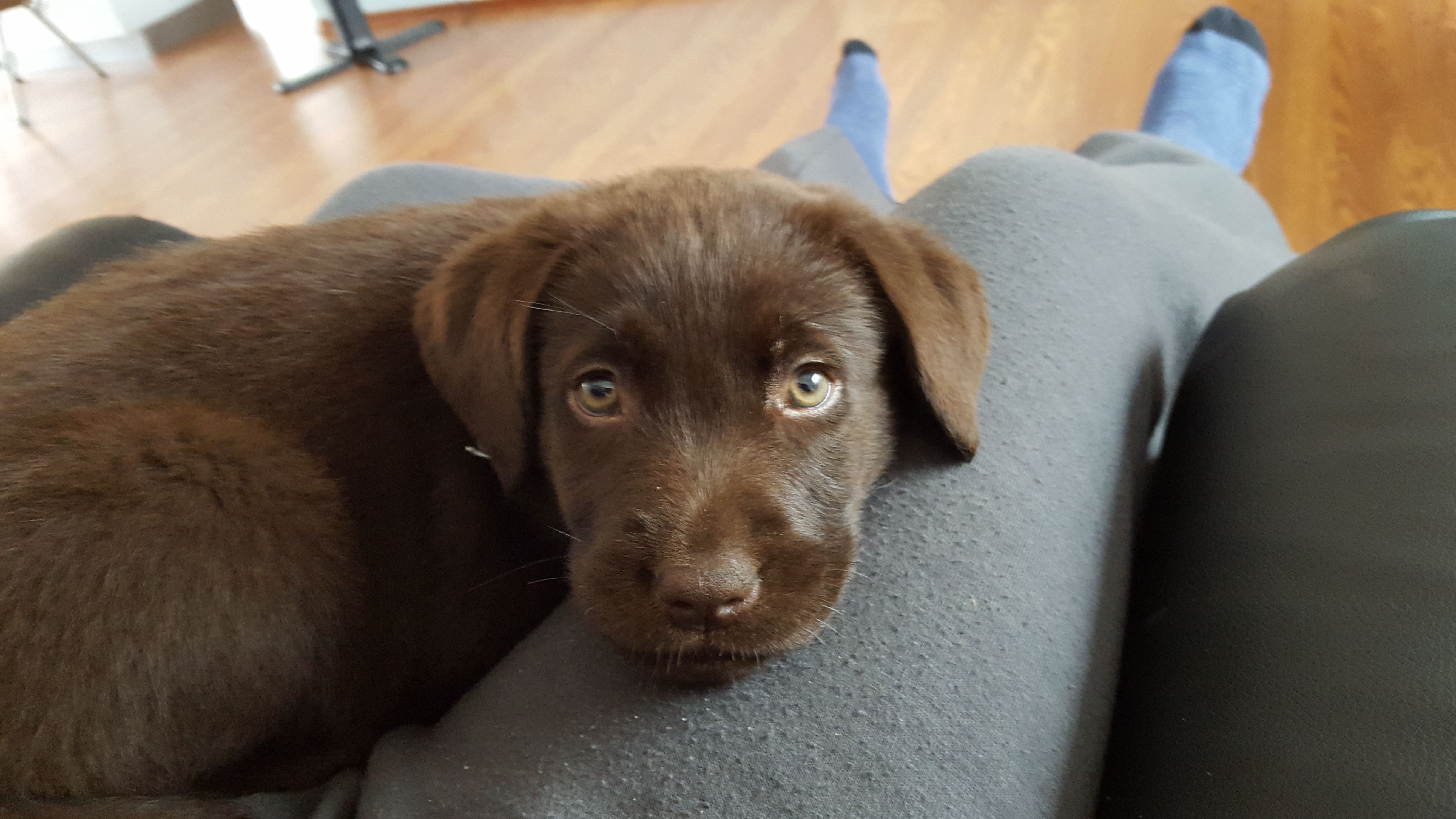 20170512_102430.jpg