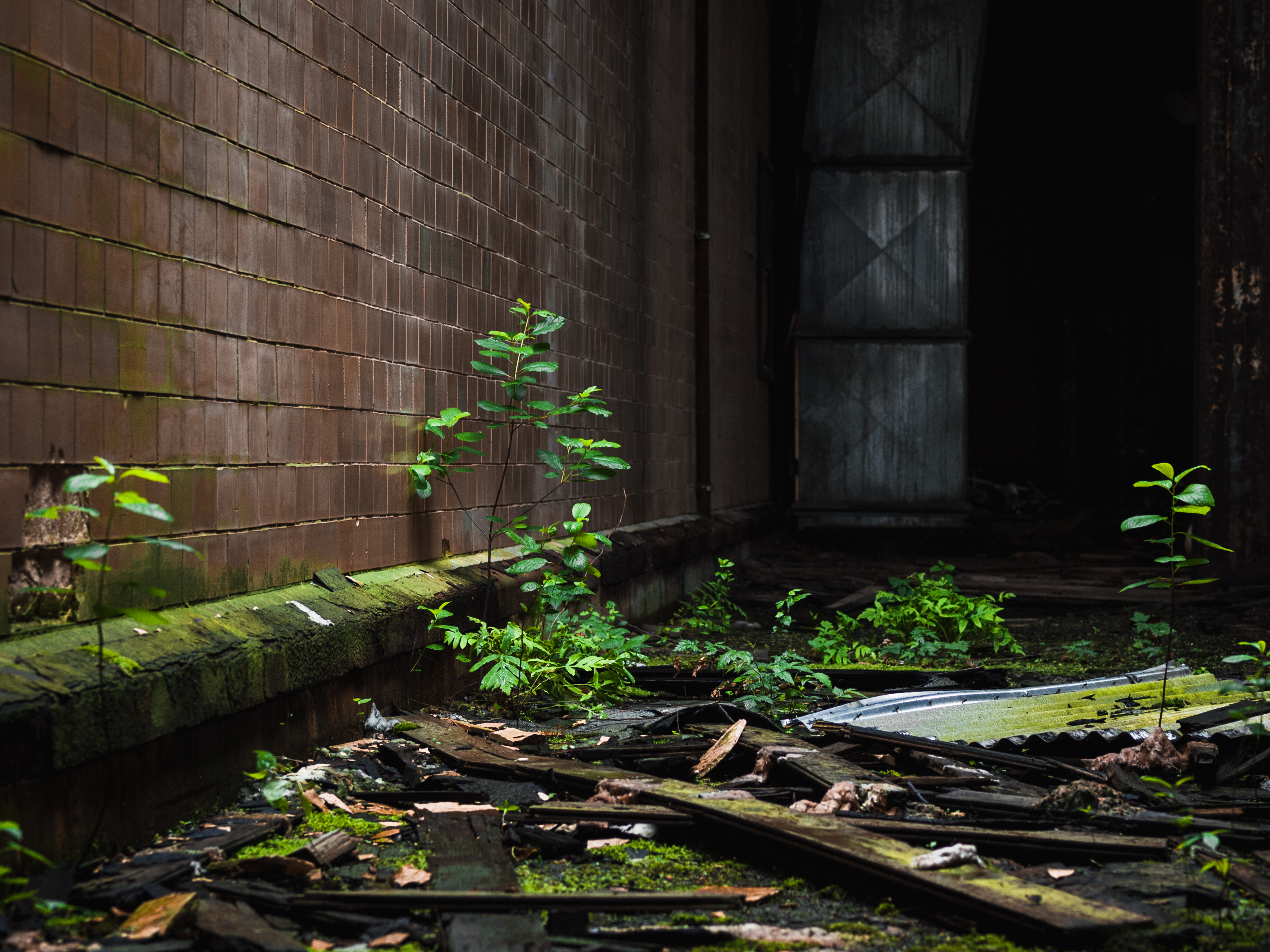 P1014615-4.jpg