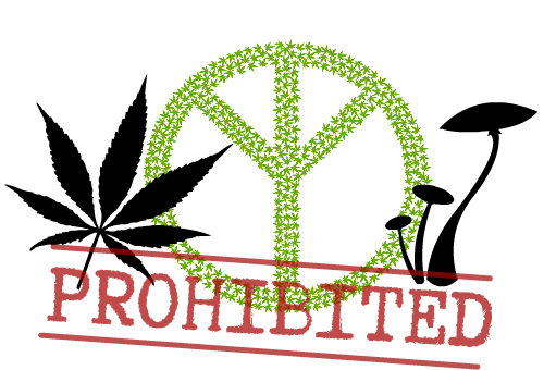 a05b-e1517814031381-300x187.png