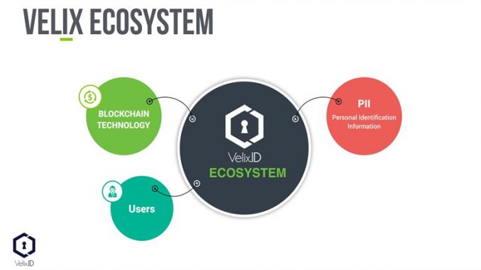 avelix ecosystem.jpg