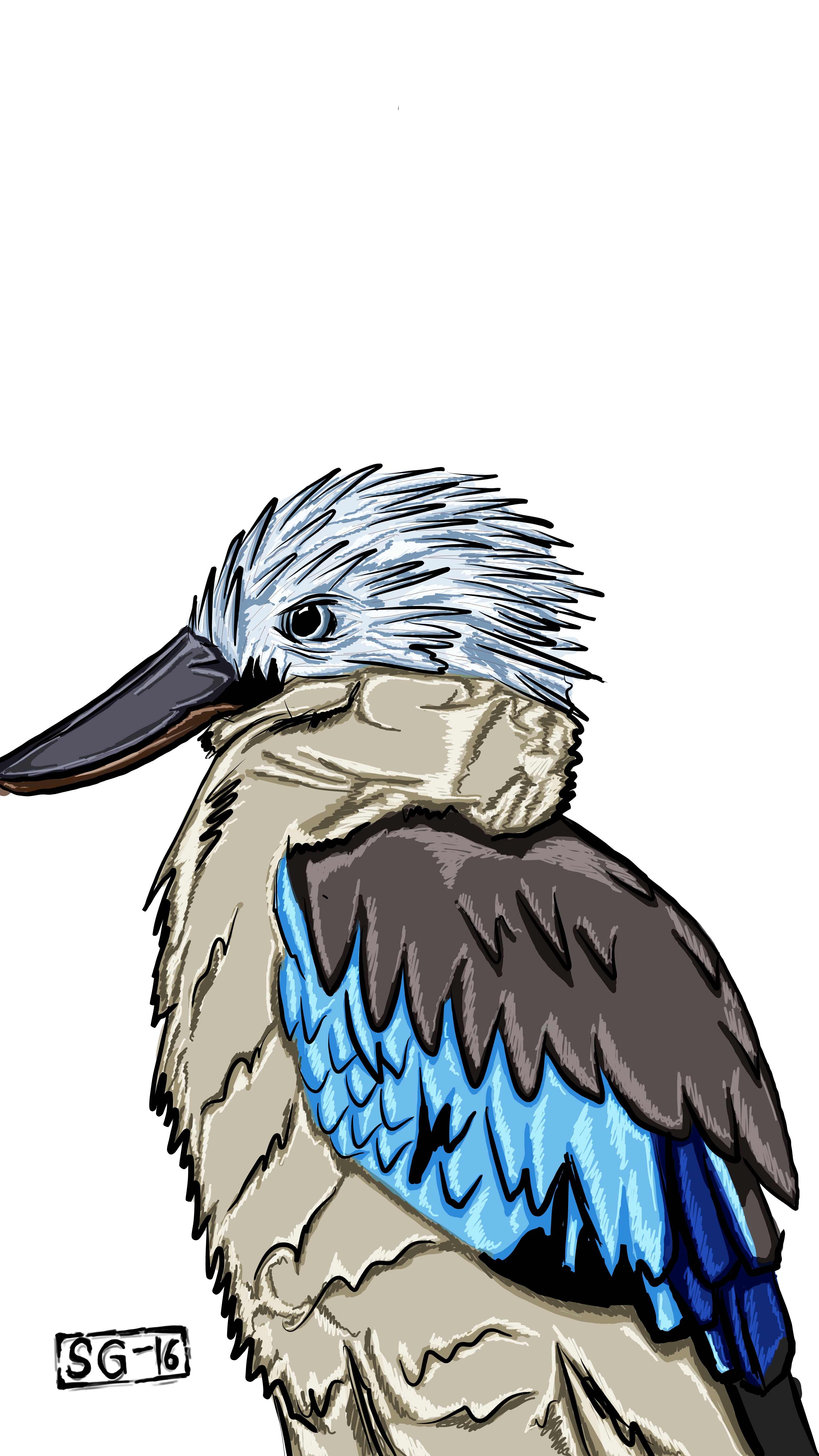 kookabura.jpg