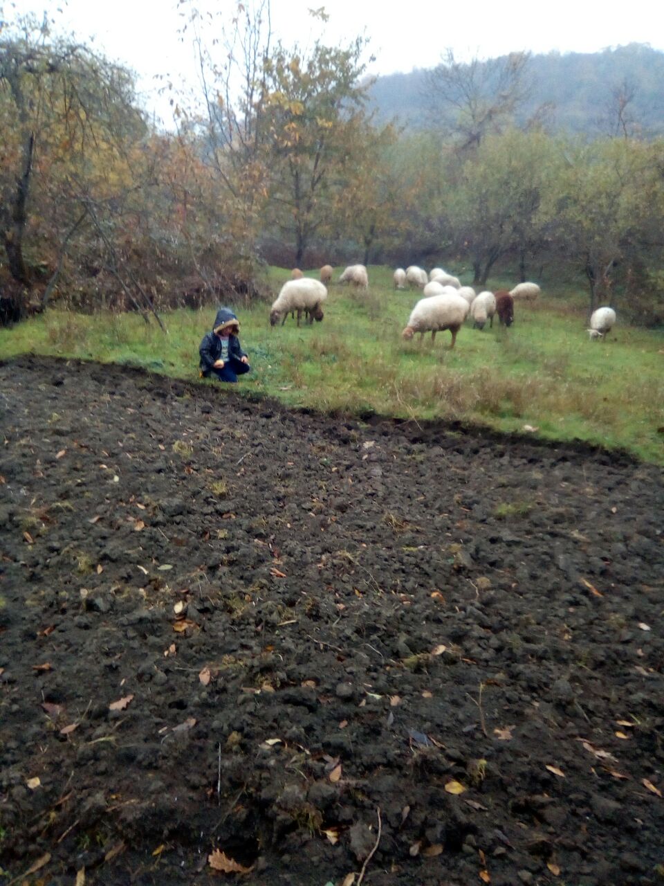 IMG-20171108-WA0014.jpg