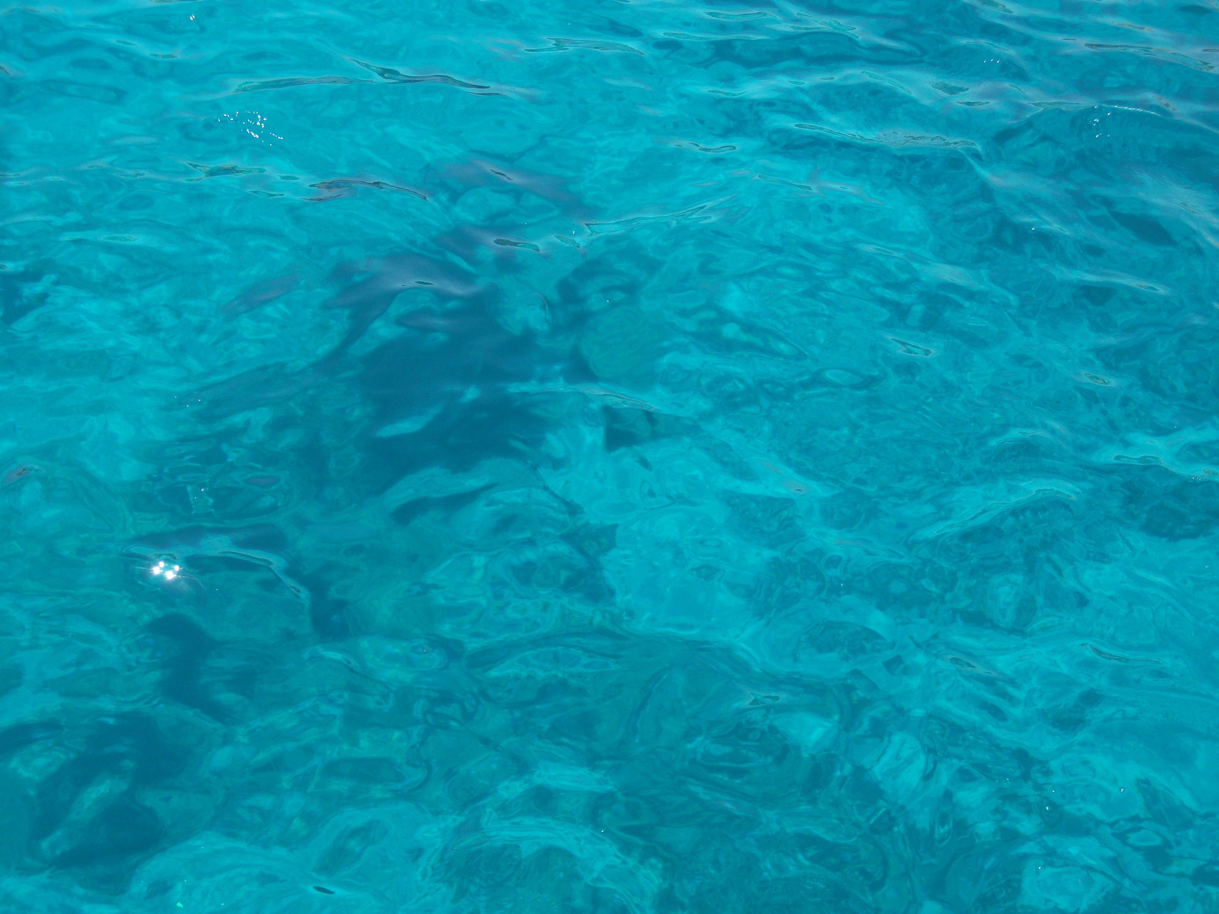 DSCF3480.JPG