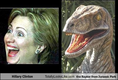Hillary Raptor.jpg