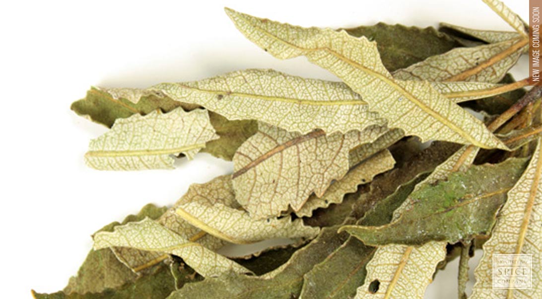 p-697-yerba-santa-leaf-whole-wild-crafted.jpg