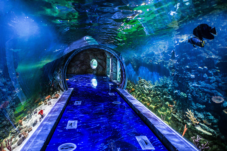 moscow oceanarium