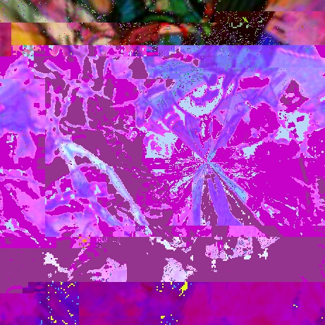 20170318174752_glitch.jpg