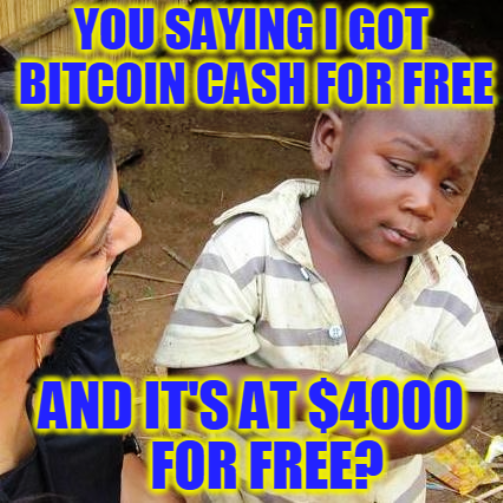 btcnewcash.png