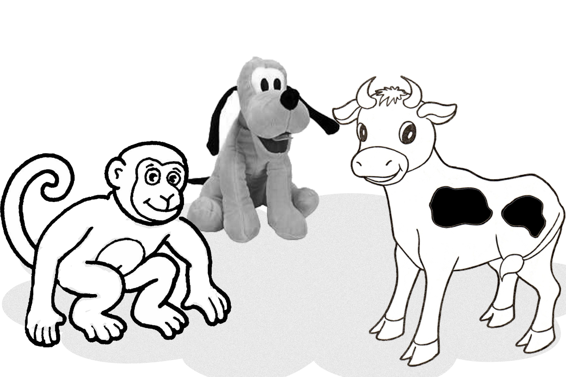 02.png