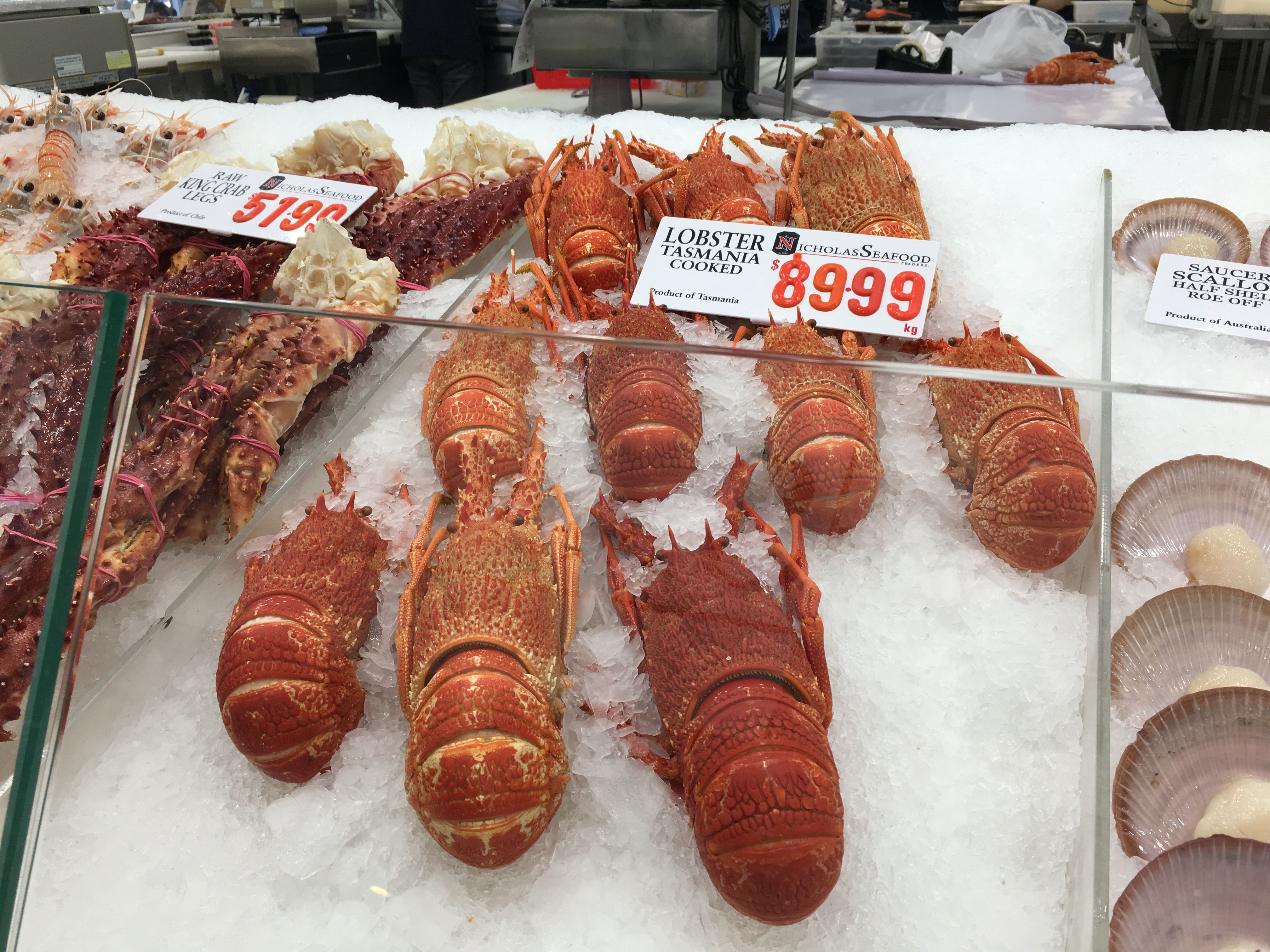 悉尼鱼市场Sydney Fish Market — Steemit