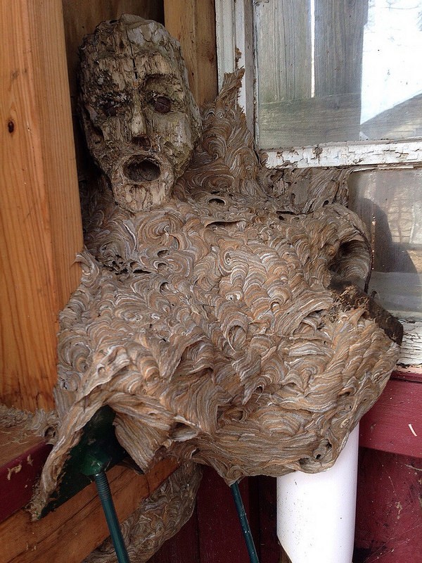 Hornet Nest.jpg