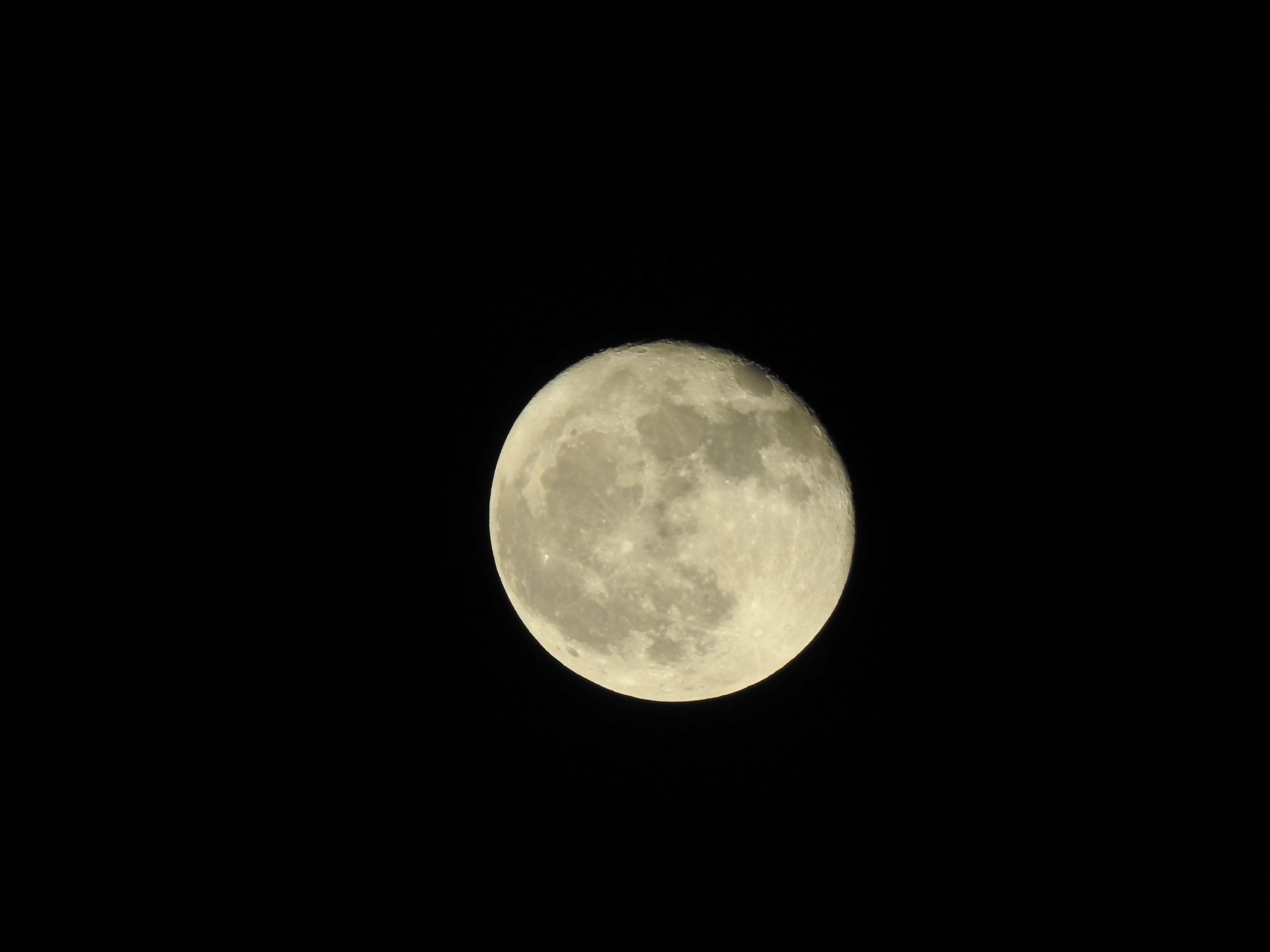 DSCN0676.JPG