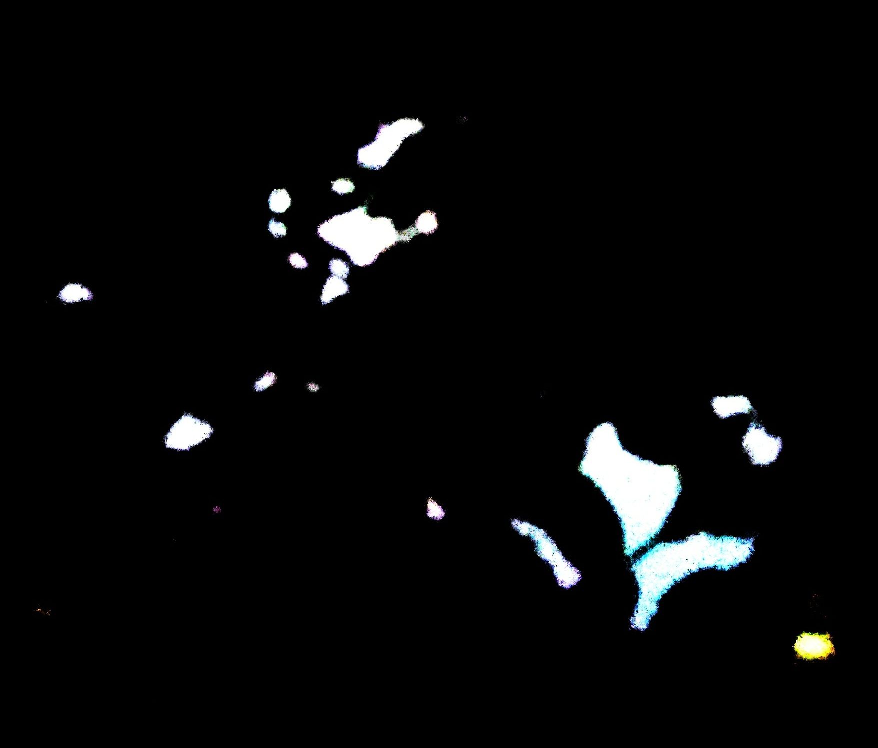 cave-man
