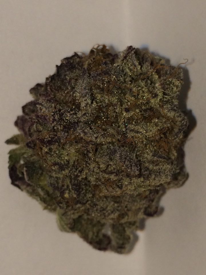 purp.jpg