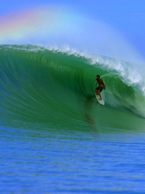 surf the wave.jpg
