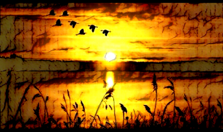 U5duC4VYF9NCn6UgisSj2ZoFbjC35JT_1680x8400.png