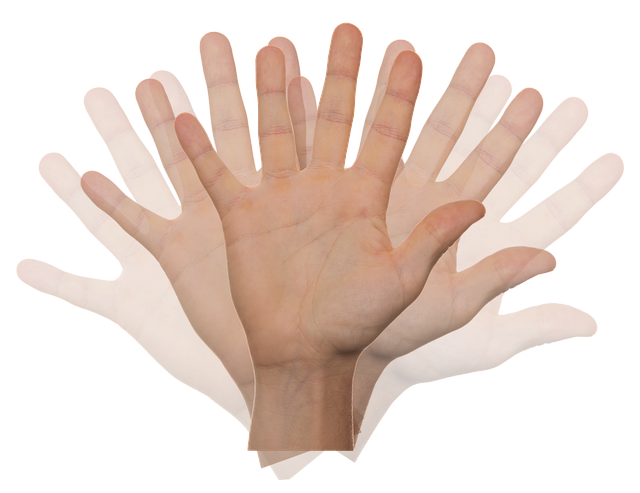 hand-2415036_640.png