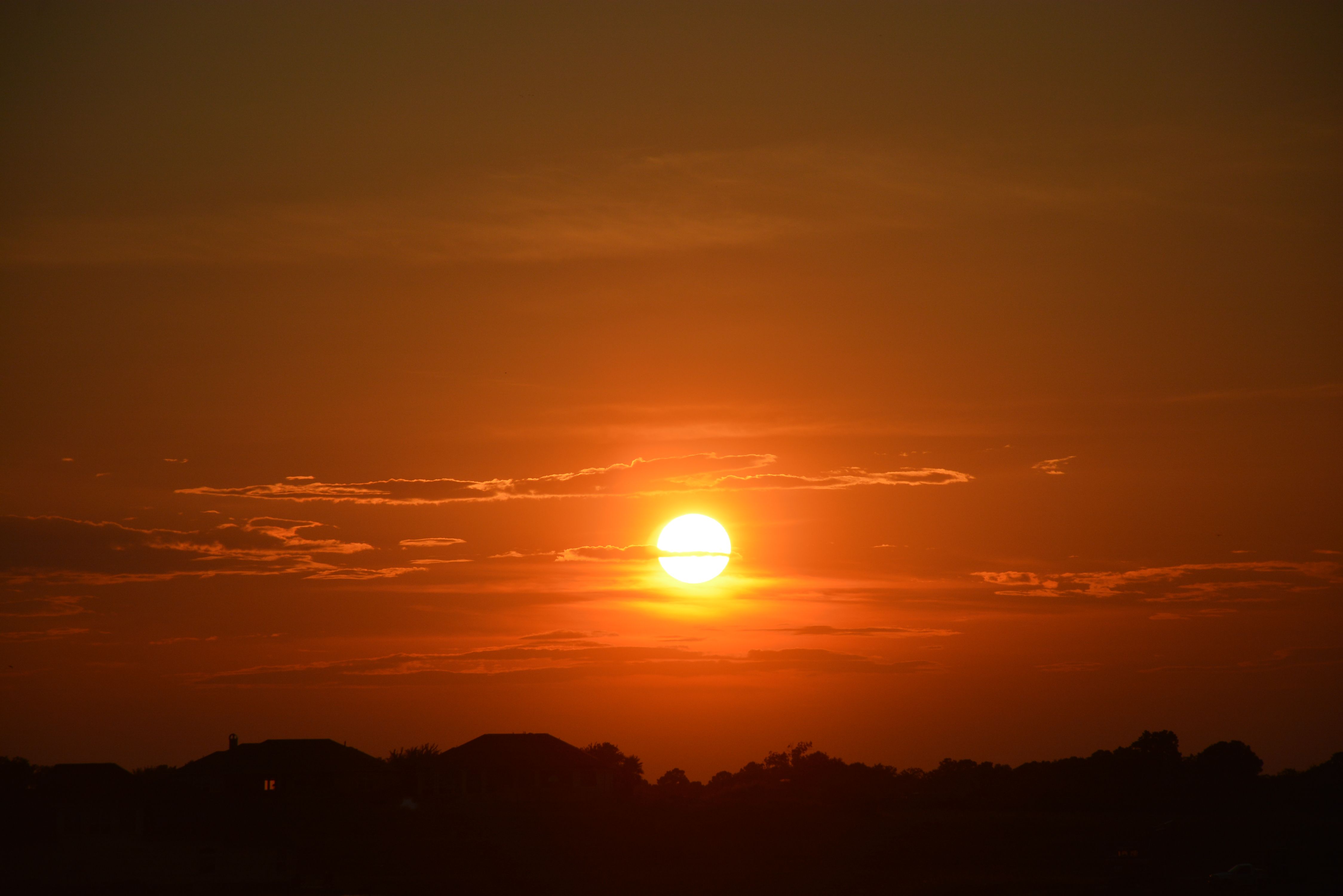 DSC_1750.JPG