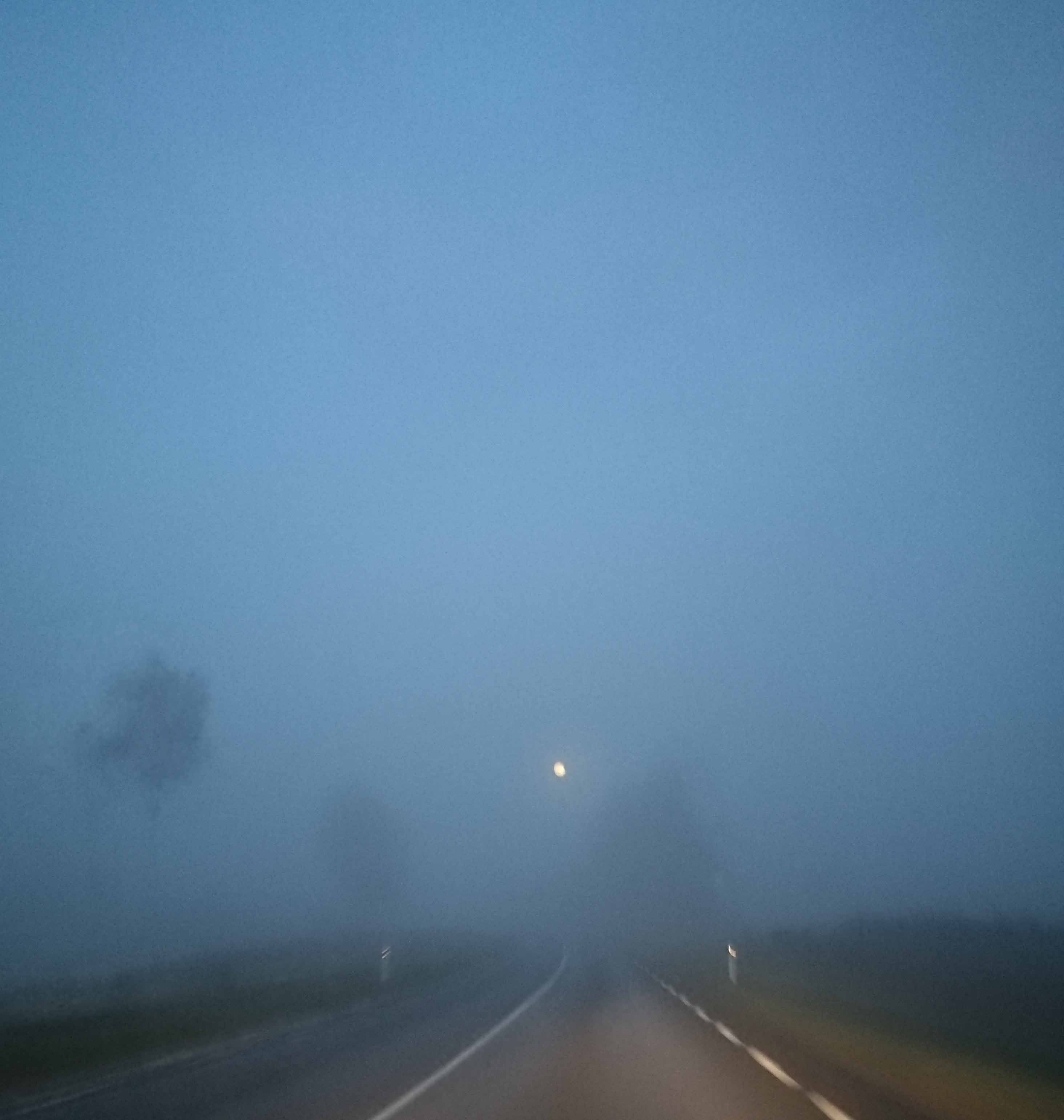 The Fog Photography in Steemit Blog