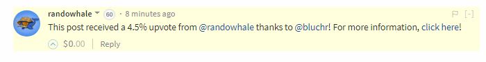 whale.JPG