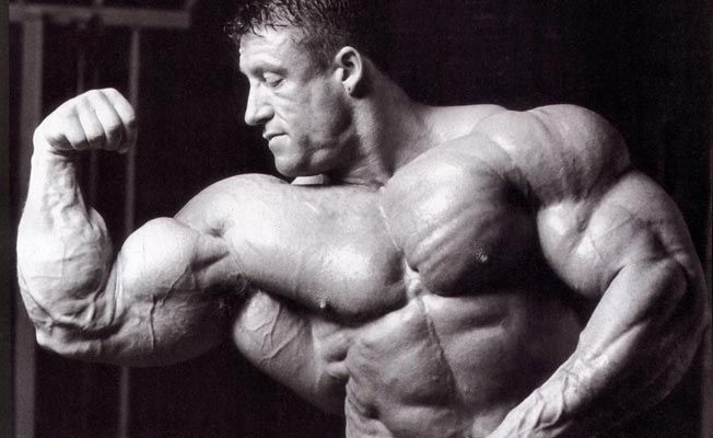 bodybuilding-facts-every-lifter-needs-to-know-652x400-4-1466492344.jpg