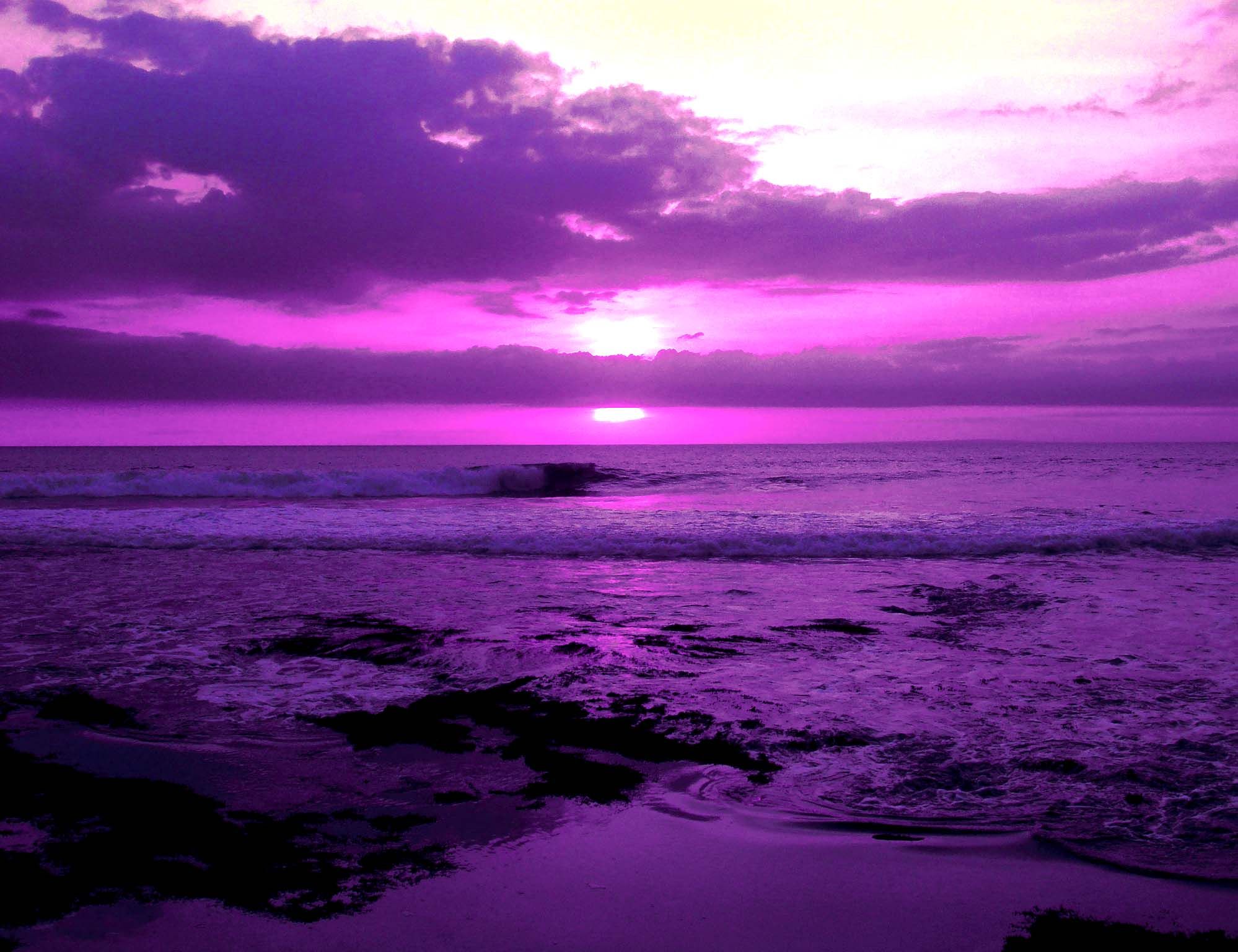 in_purple_by_andry122_deviantart-com.jpg