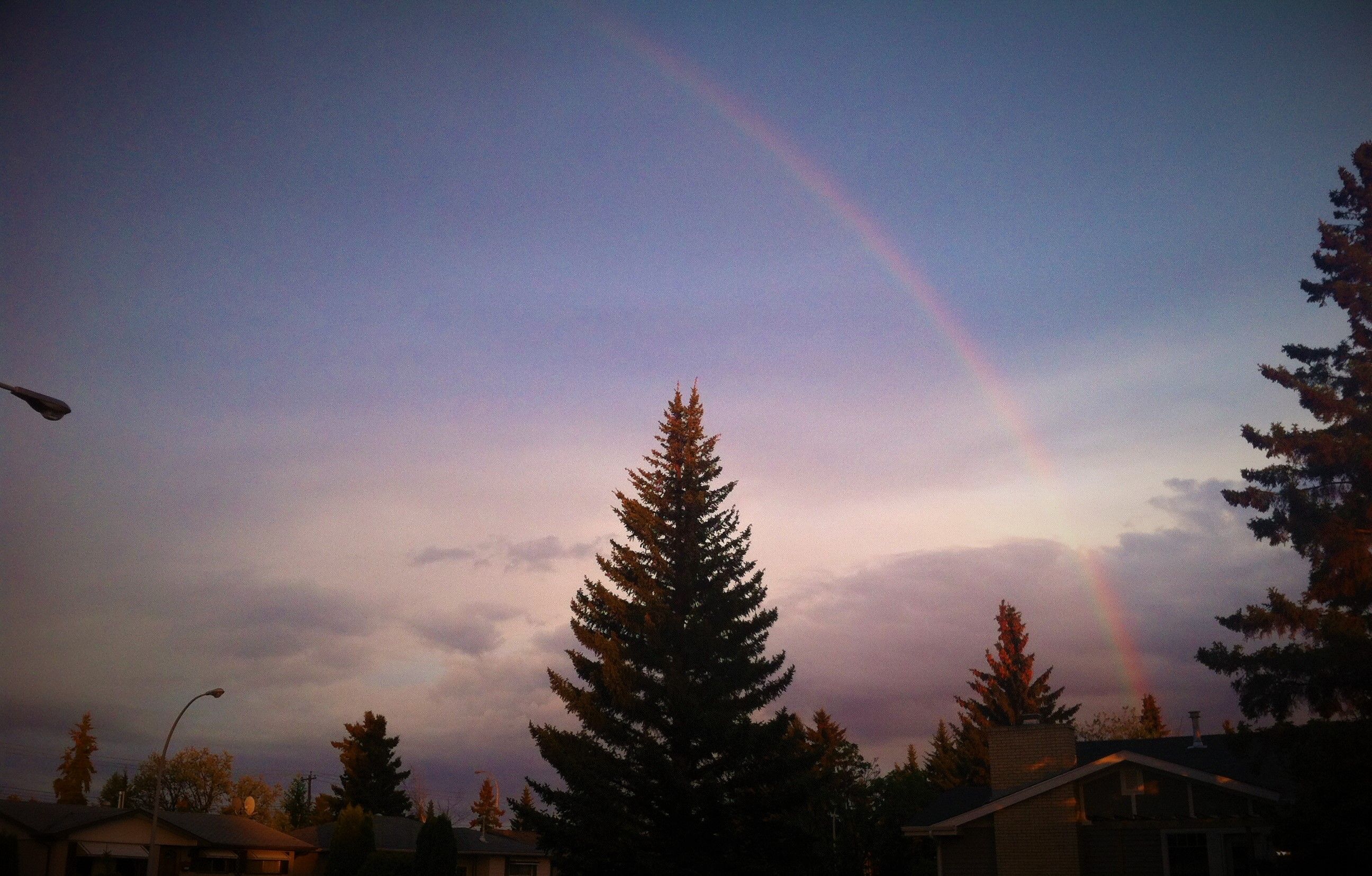 rainbows2.JPG