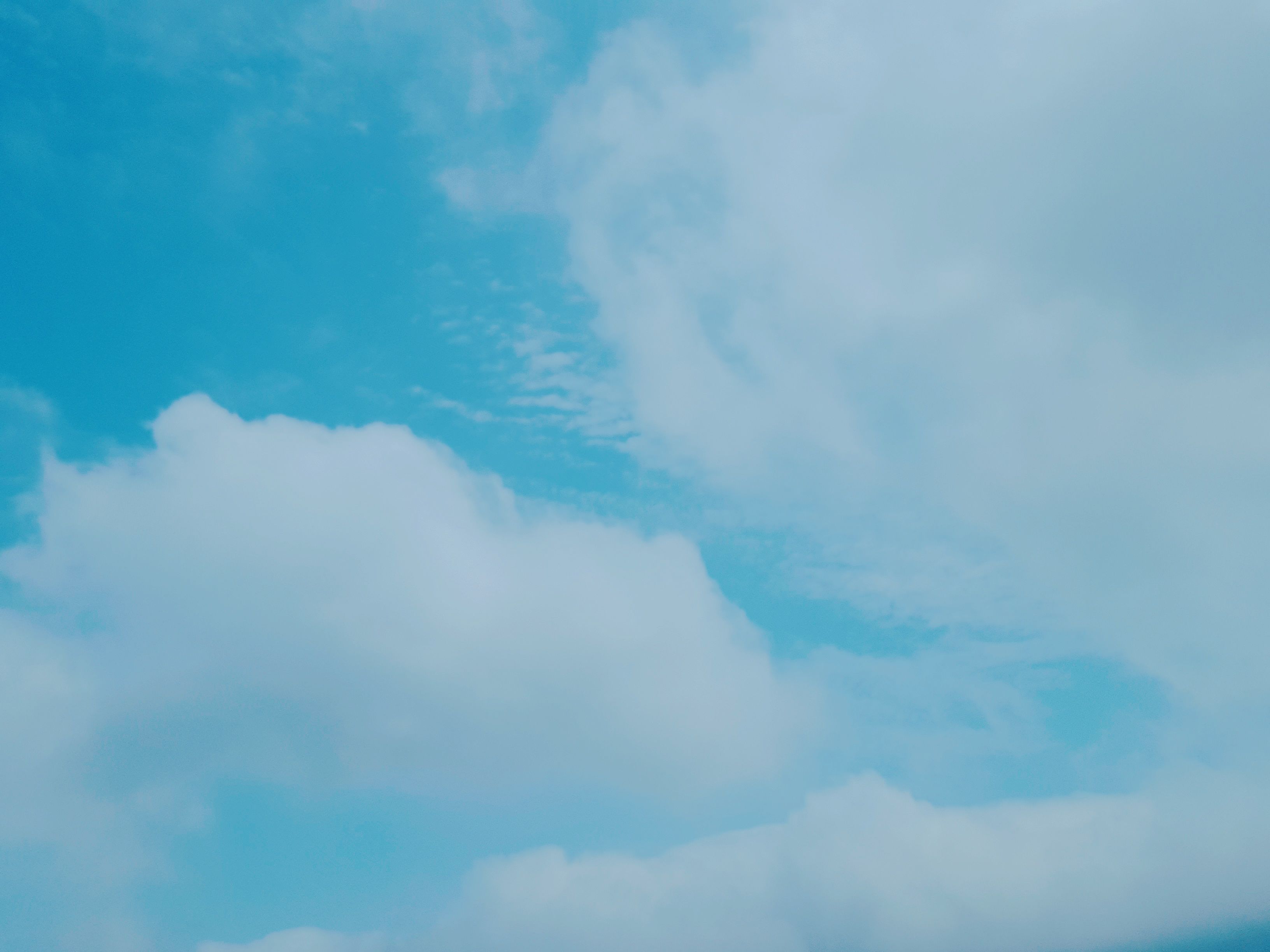 2017-07-01-14-08-46.jpg
