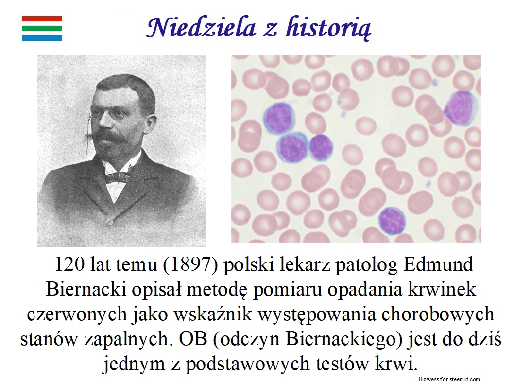 Historia007.jpg