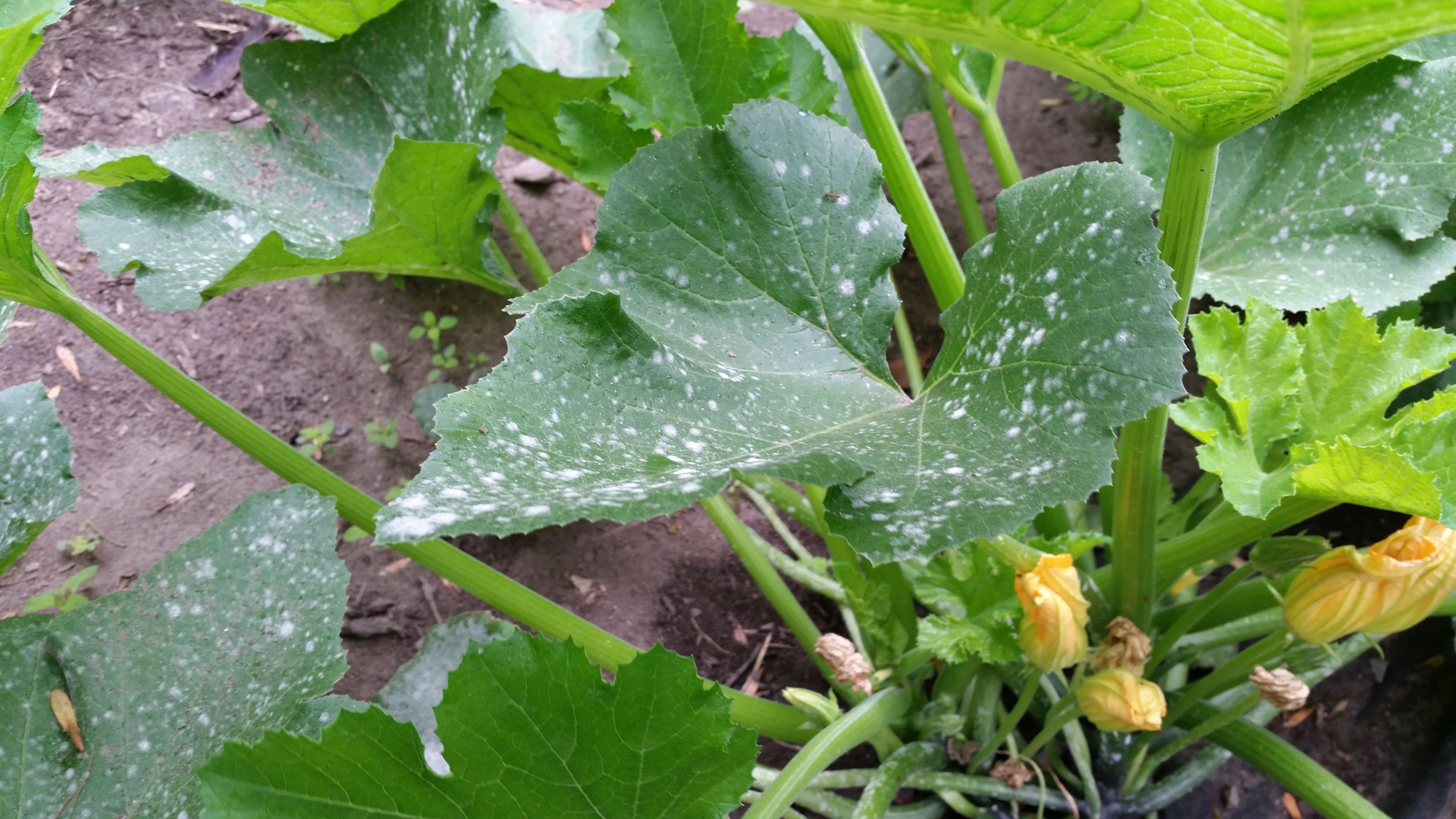20170903_102059.jpg
