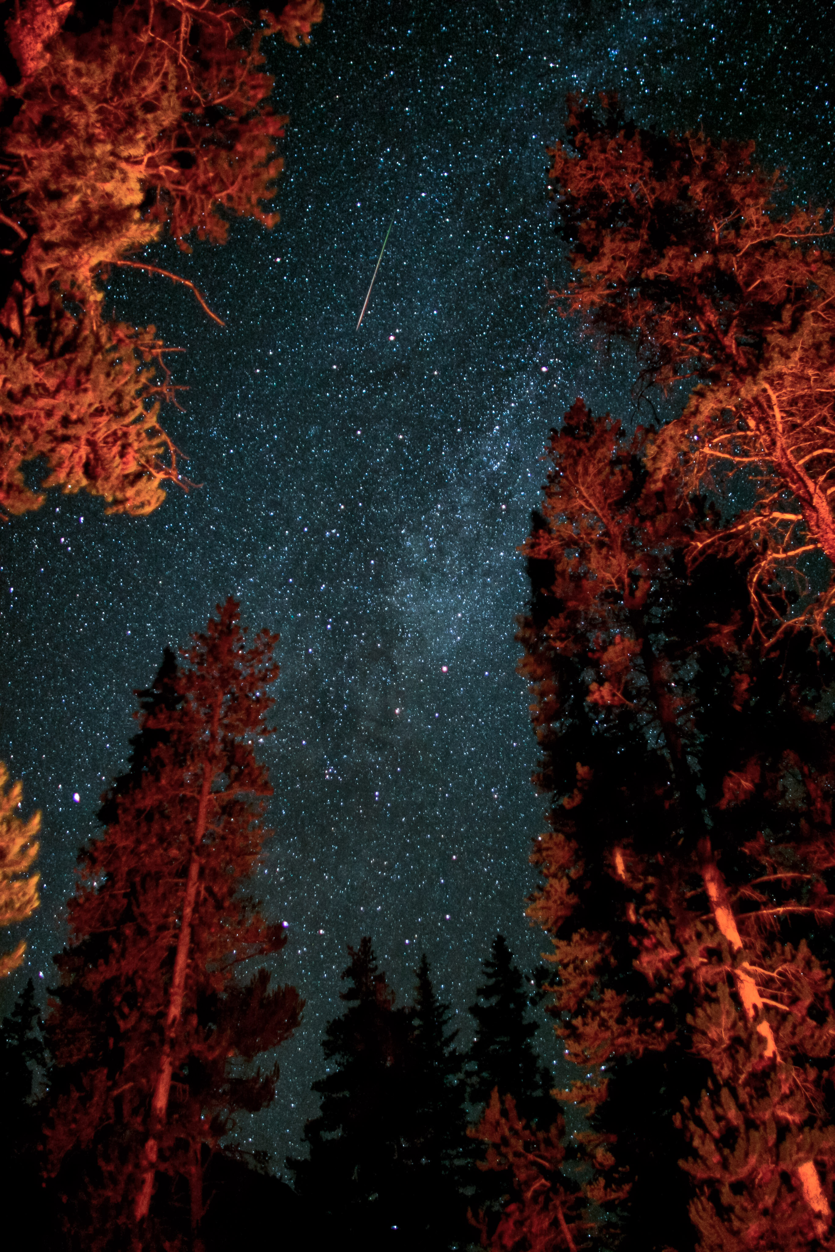 tmophoto_campfire meteor.jpg