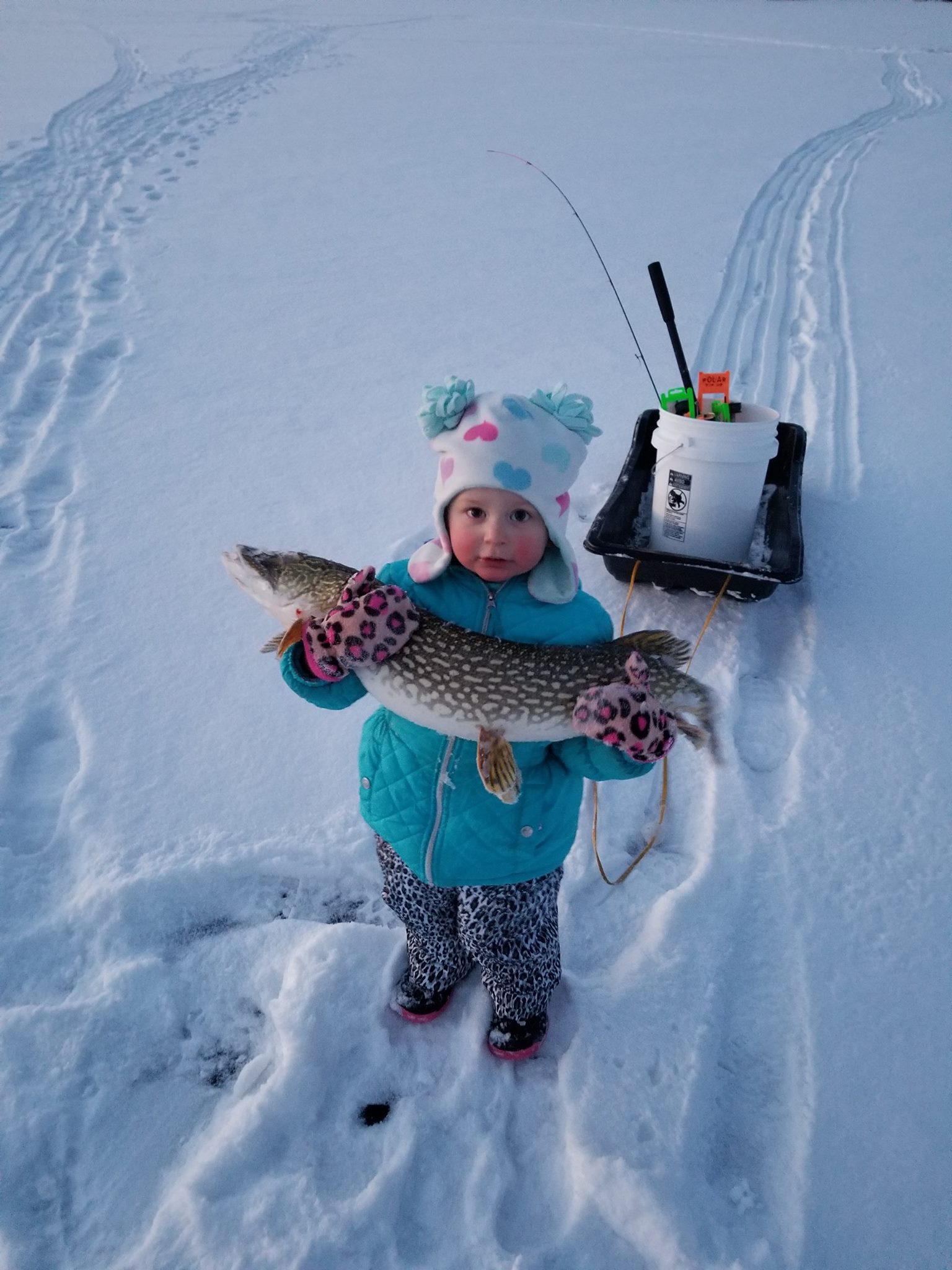 Harper Olivia Manchester with 15lb northern pike.jpg