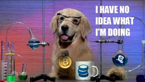 bitcoin-pet-meme-8.jpg