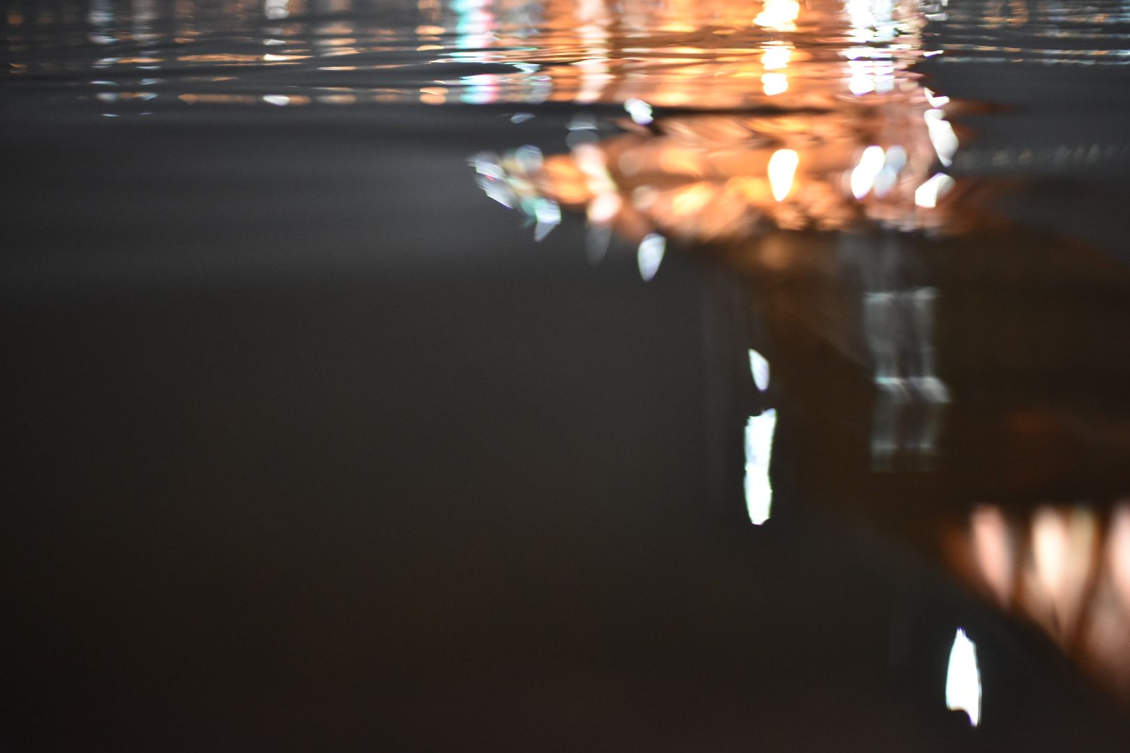 DSC_0949.JPG