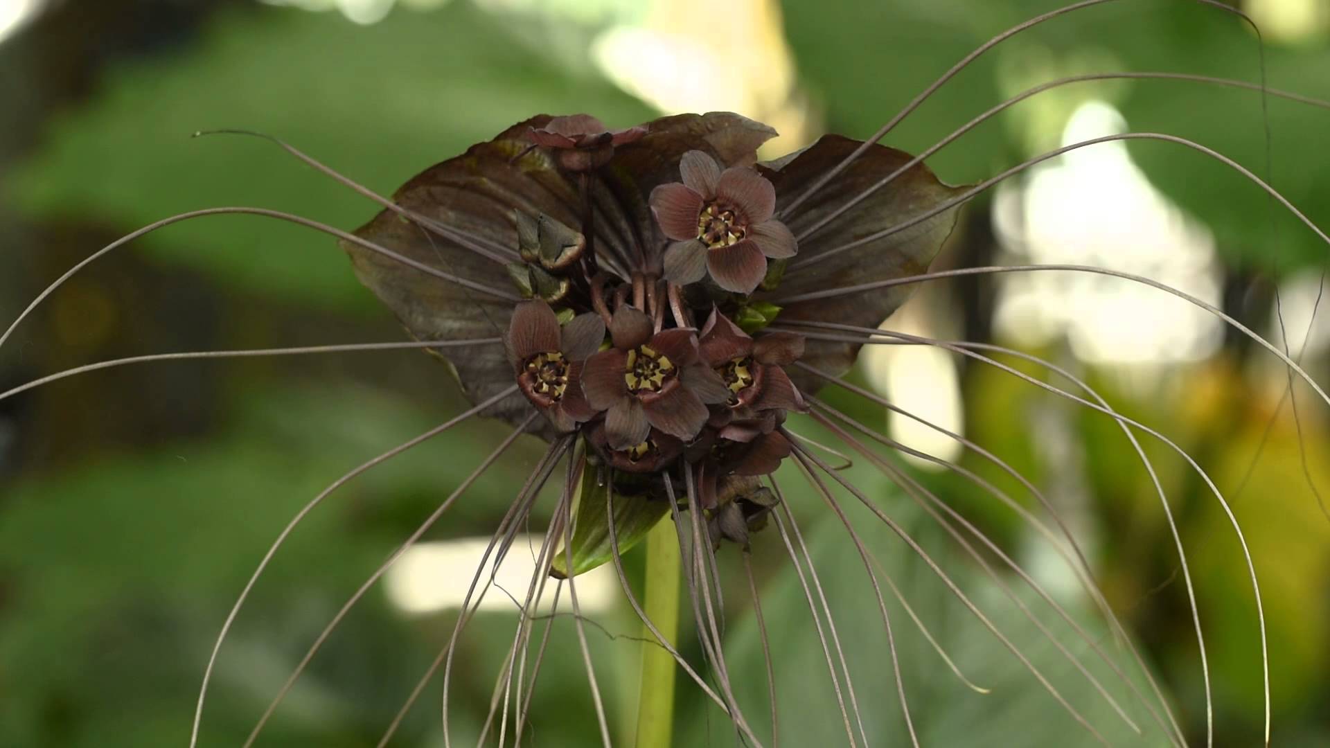 maxresdefault (2).jpg