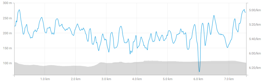 screenshot-www.strava.com-2018-05-06-13-21-57.png