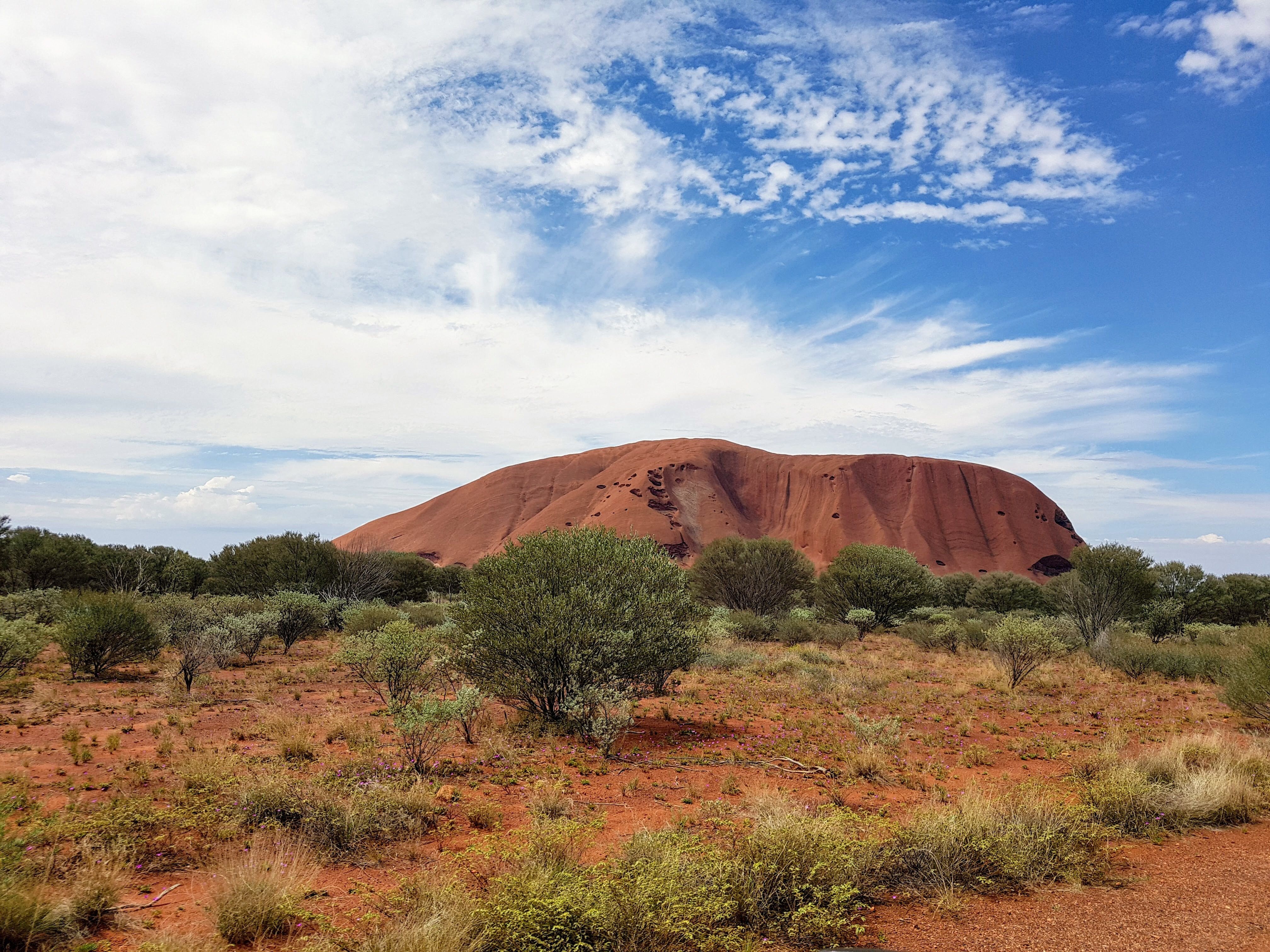 #3 My view of magestic Uluru / Ayers Rock