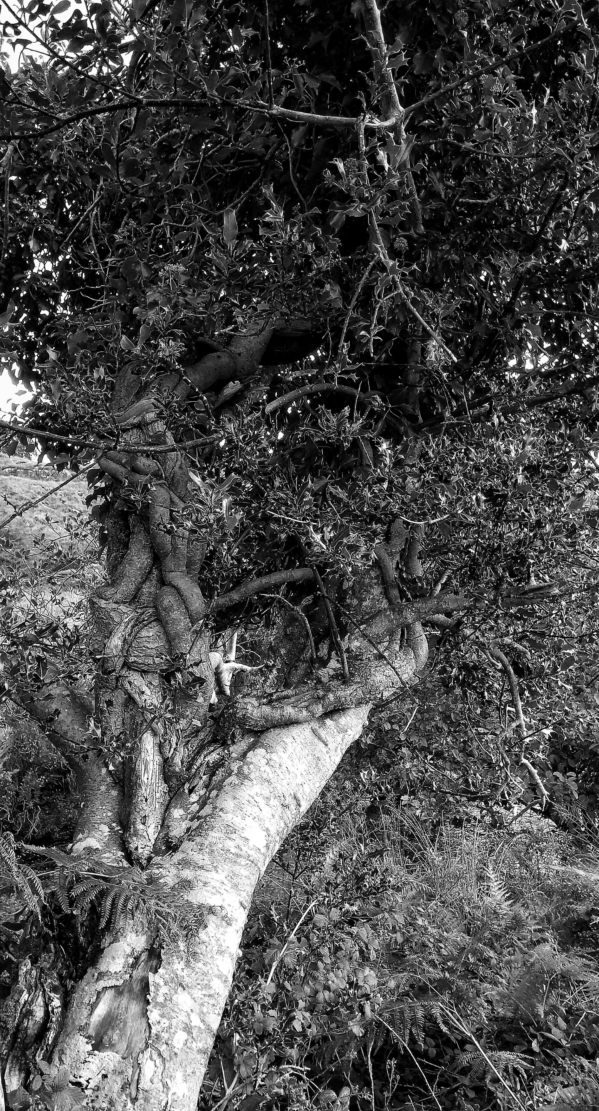DSC_1304-01-01.jpeg