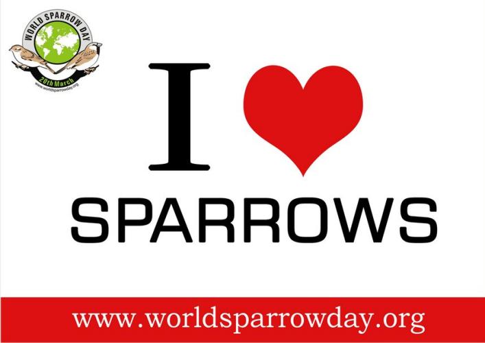 world-sparrow-day.jpg