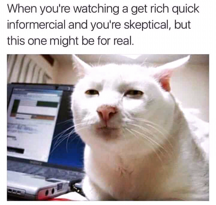 FB_IMG_15248855085876153.jpg