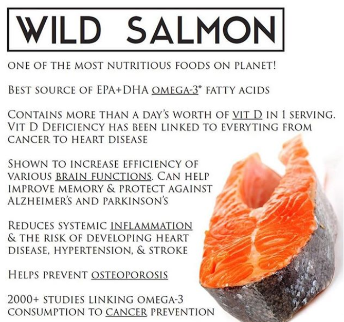 Wild salmon health benefits